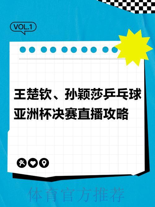 世界杯赛事网络直播全攻略，轻松掌握观赛技巧